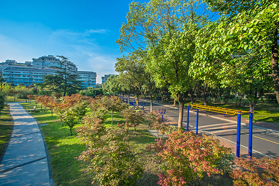 edf一定发官网机关社区夏景